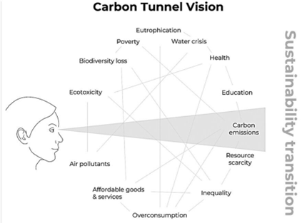 Vision tunnel Carbone
