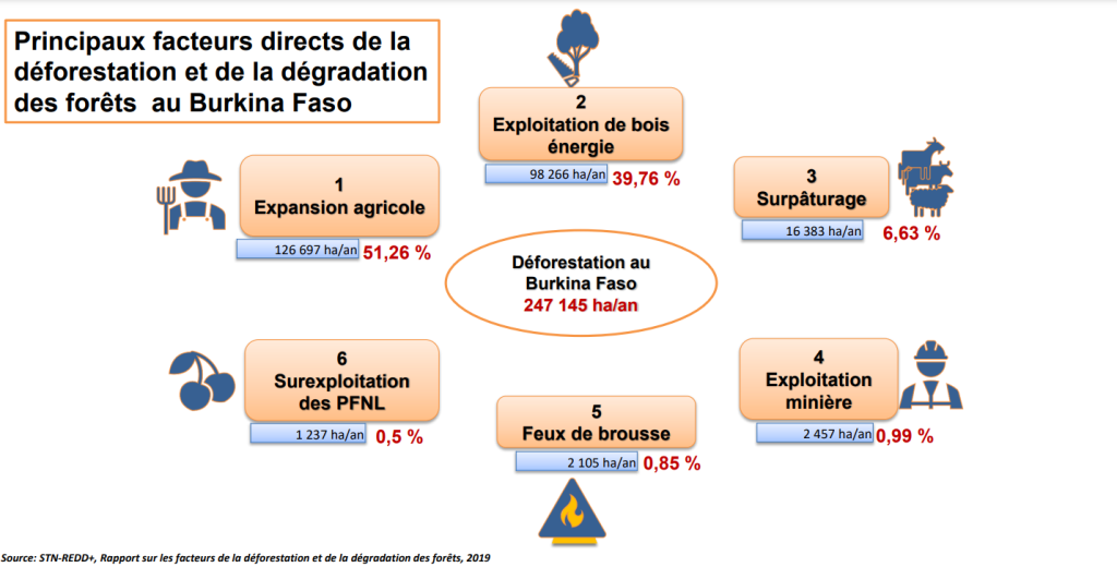 schéma présentant les facteurs de la déforestation et dégradation des forêts au Burkina Faso