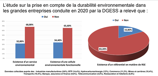 Etude (graphique) sur la durabilité environnementale dans les grandes entreprises (2020, DGESS)