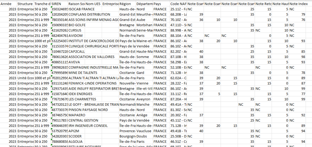 extrait du fichier excel des indicateurs d'équilibre hommes / femmes sur le portail rse