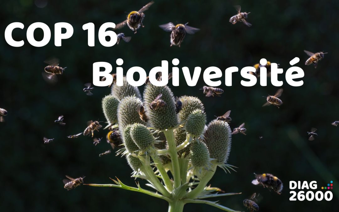 COP 16 : la biodiversité