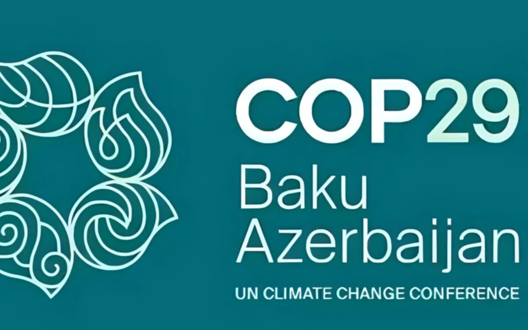 COP 29 : le climat  