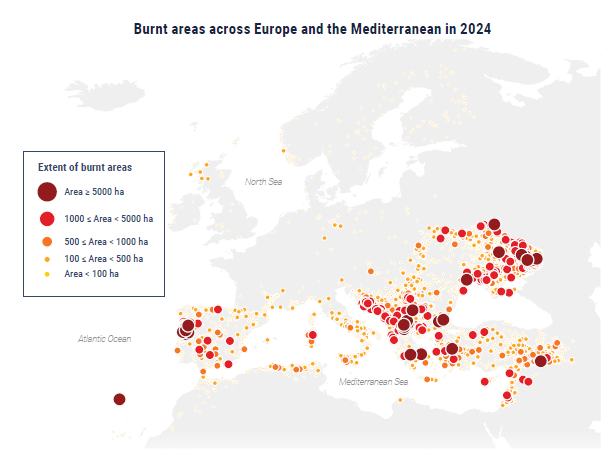 carte incendie 2024