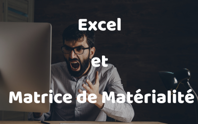 Excel et la Matrice de Matérialité